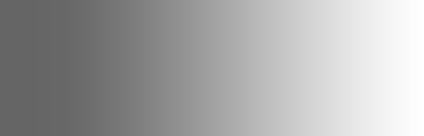 Roberto Lepori – ICT Services & Web Development